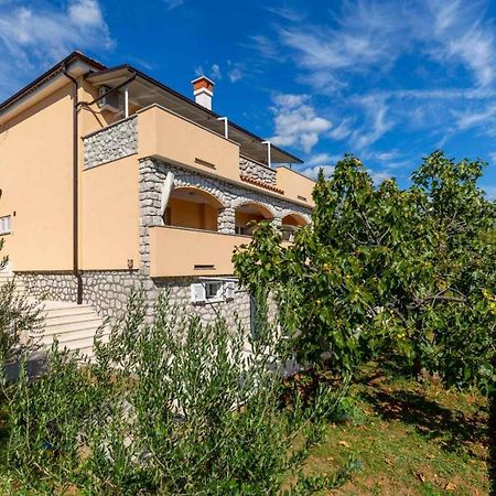 נובי ווינודולסקי Apartman Marija מראה חיצוני תמונה